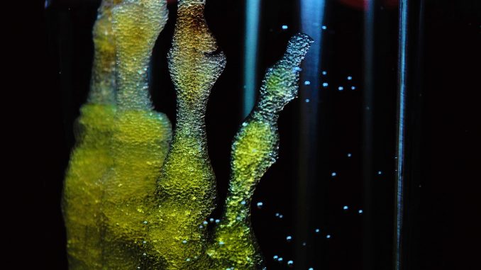 bio-impression