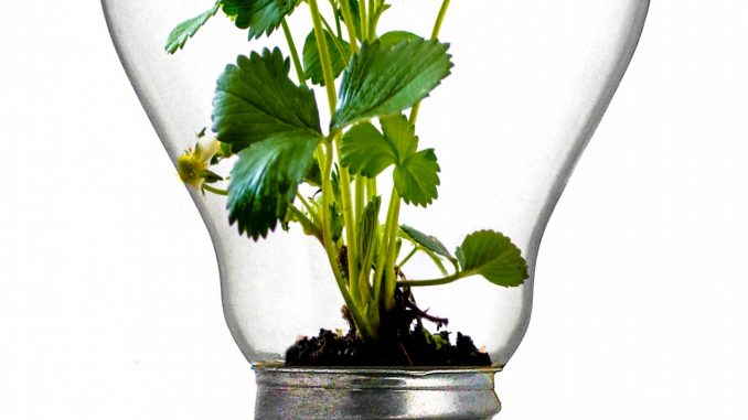 ecologie